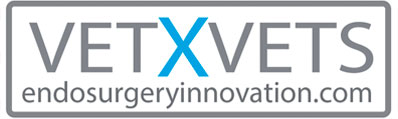 LOGO-VETX